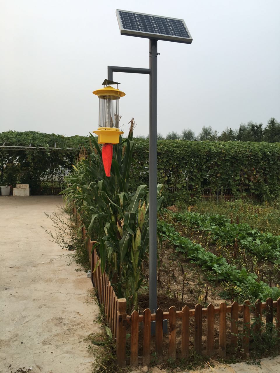 ̫�(y��ng)�ܚ��x(ch��ng)��