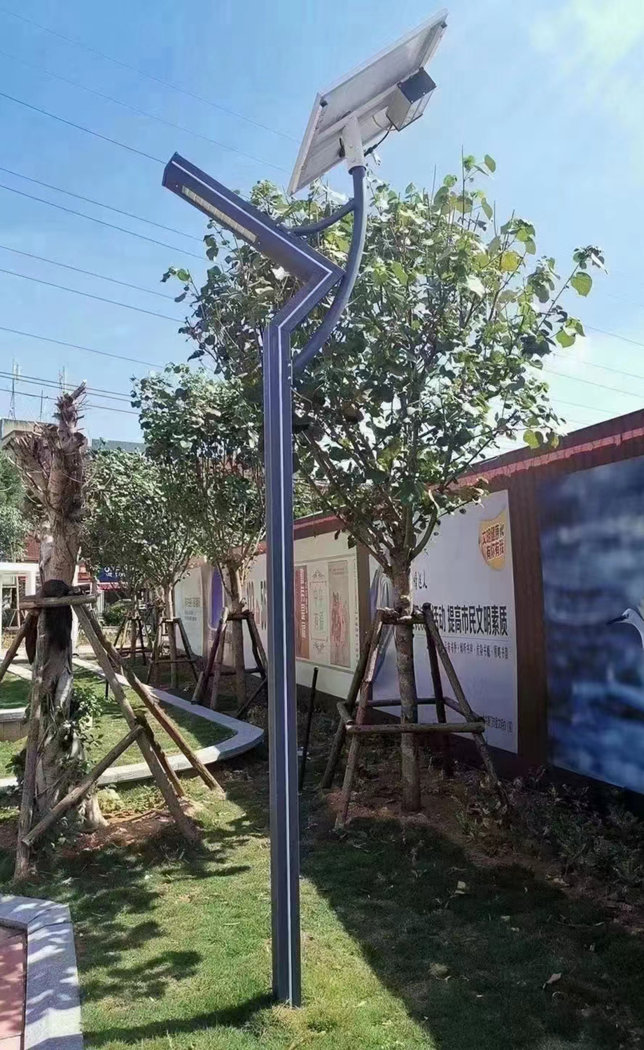 ̫�(y��ng)��ͥԺ��